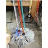 Image 1 : MOPS - 3
