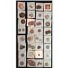 Image 1 : World Coins - Greece, Guadeloupe, Guatemela - Lot of 75 Coins