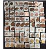 Image 1 : World Coins - South Africa - Lot of 237 Coins