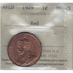 1929 Newfoundland One Cent