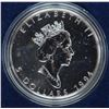 Image 2 : 1994 Cased Silver Maple Leaf