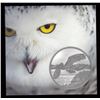 Image 1 : 2014 $50 Owl ($50 for $50 Series) Silver Coin