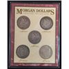 Image 1 : Lot of Five USA Morgan Dollars in Acrylic Holder