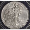 Image 1 : USA Silver Eagle, 2009
