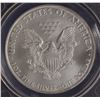 Image 2 : USA Silver Eagle, 2009