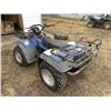 Image 4 : 1994 SUZUKI KING QUAD 300 4WD ATV