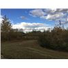 Image 2 : NW6-84-5-W6, 160 ACRES TOTAL