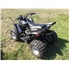 Image 4 : VIPER E-TON 90 2WD MINI ATV
