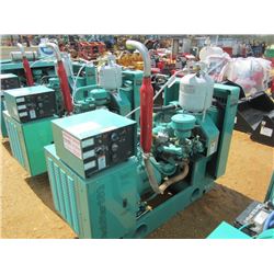 ONAN 35 SJB POWER GENERATOR, S/N H860834719, LP GAS, MAJOR RETAILER BACKUP POWER