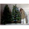 Image 4 : Saturday Night Live Gilda Radner Killer Christmas Tree