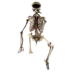 The Walking Dead Skeleton Movie Props