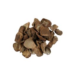 Land of the Lost TV Series (1974–1977) - Ape Creature Fingernails Movie Props.