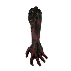 The Walking Dead (2010 To Present) Burnt Severed Zombie Arm and Appliances Movie Props