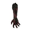 Image 1 : The Walking Dead (2010 To Present) Burnt Severed Zombie Arm and Appliances Movie Props