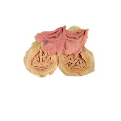 Re-Animator (1985) - Reanimated Corpses Prosthetics Movie Props