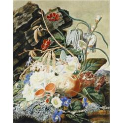 English School (c.1830), Still Life,...