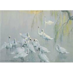 Vernon Ward (1905 - 1985), A Gathering Of Swans,...