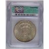 Image 4 : 1901 MORGAN DOLLAR ICG MS-61 KEY DATE RARELY SEEN IN MS