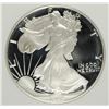 Image 2 : 1992-S AMERICAN SILVER EAGLE PCI GRADED PERFECT PROOF DCAM