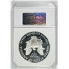 Image 4 : 1996-P AMERICAN SILVER EAGLE PCI GRADED PERFECT PROOF DCAM