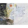 Image 3 : Sam Fink (b. 1915), Illustrations for a children's book, set of ten, 1975, India ink, water...