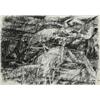 Image 1 : Cleve Gray (b. 1918), untitled (Abstraction), 1959, ink on paper, 10 x 10.25 (sheet), S...