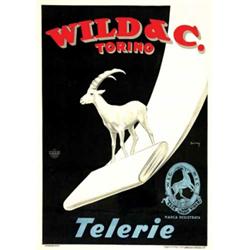 Italian advertising poster - WILD & C. TORINO