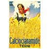 Image 1 : Italian advertising poster - CALCIOCIANAMIDE TERNI