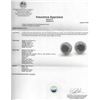 Image 3 : 3.64ctw Fancy Black Diamond Earrings - 14KT White Gold