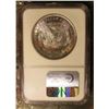 Image 2 : 1884 O Morgan Silver Dollar. NGC slabbed MS64. Beautiful reverse toning.