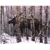 Image 2 : Stephen Lyman Framed Bull Moose Print