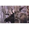 Image 7 : Stephen Lyman Framed Bull Moose Print