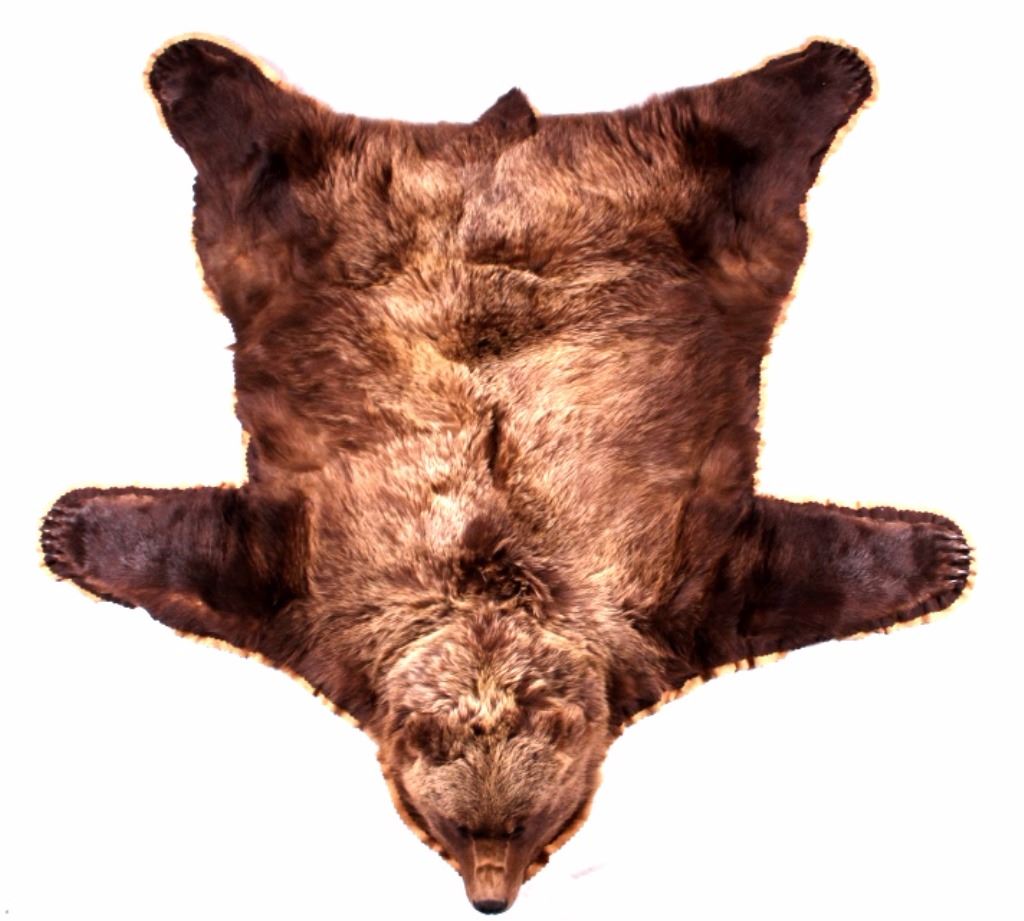 Great Alaskan Grizzly Bear Rug Mount