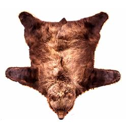 Great Alaskan Grizzly Bear Rug Mount