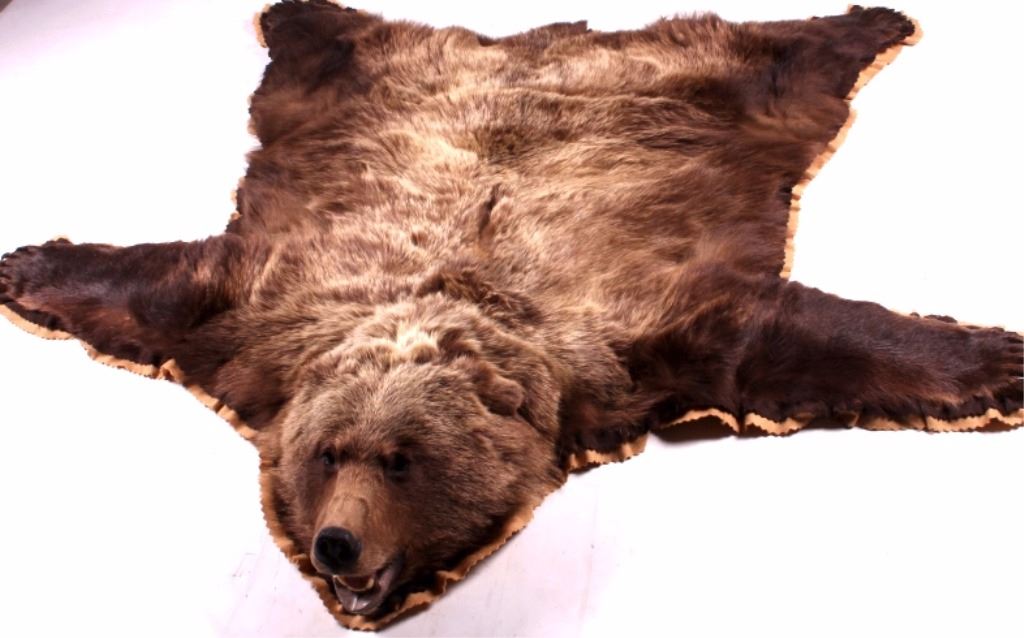 Great Alaskan Grizzly Bear Rug Mount