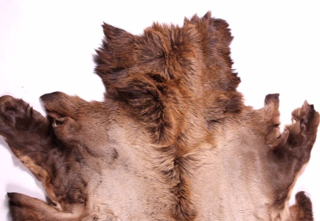 Montana Tanned Elk Hide