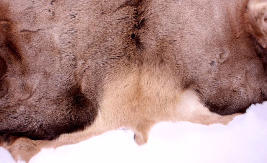 Montana Tanned Elk Hide