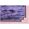 Image 6 : Tim Cox Framed Print