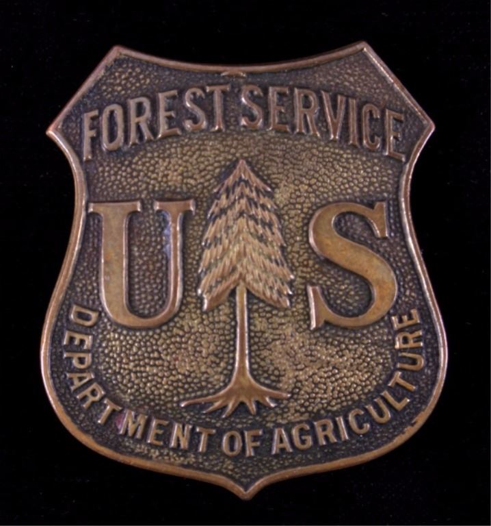 U.S. Forest Service Badge Pin and Patch