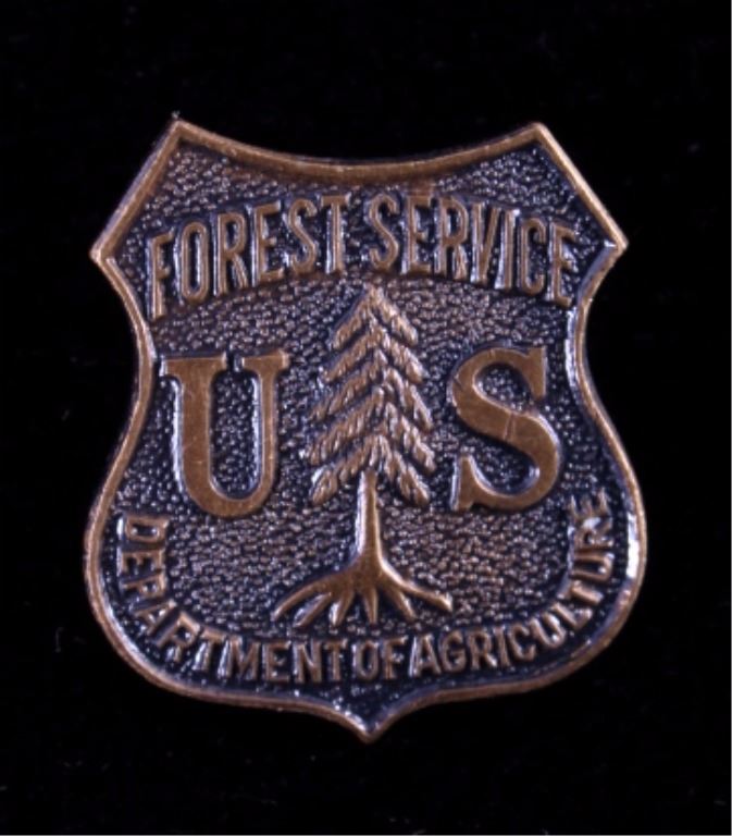 U.S. Forest Service Badge Pin and Patch