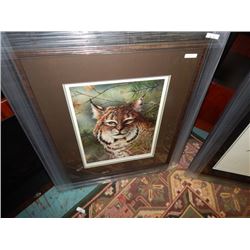 FRAMED LIMITED EDITION PRINT - BOBCAT - DAVID R RISK - GALLERY ESTIMATE - $625