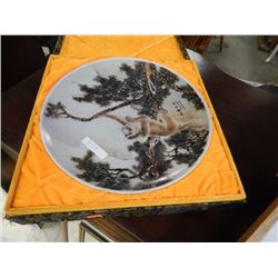 COLLECTOAR PLATE IN BOXES