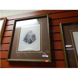FRAMED PICTURE  OF 2 OWLS - 2 PICTURES TTL