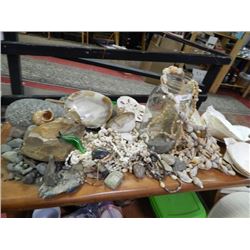LARGE LOT OF ASSORTED ROCKS AND SHELLS - INCLUDES GLASS SLUG