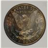 Image 3 : 1889 MORGAN DOLLAR CCGS GRADED SUPERB GEM BU