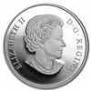 Image 1 : 2015 Canada 1 oz Silver $20 Proof Maple Leaf Reflection