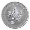 Image 1 : 2015 Canada 1 oz Silver Maple Leaf Einstein Privy