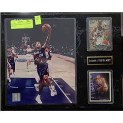 NBA PLAQUE DAMON STOUDAMIRE RAPTORS