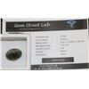Image 1 : 15.60CT CATS EYE GEMSTONE WITH COA