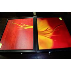 PAIR OF CANVAS ART FRAMED PICTURES